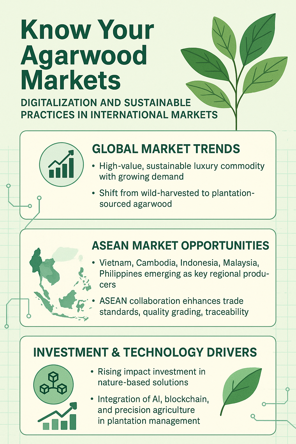Know Your Markets: Digitalization and Sustainable Practices in International Markets