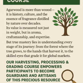 TC Vl – Agarwood Harvesting, Processing & Grading Course